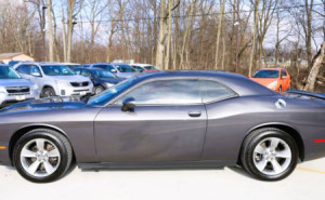 2019 DODGE CHALLENGER