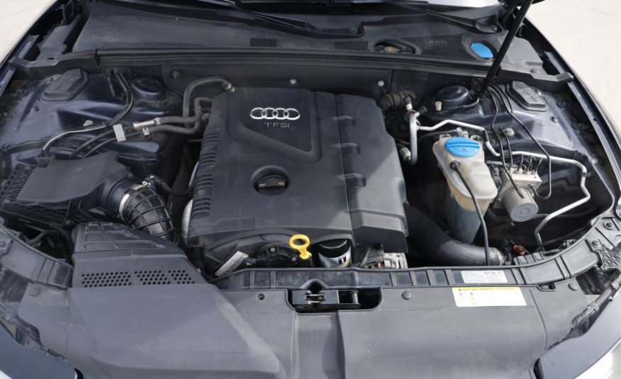 2013 AUDI A5